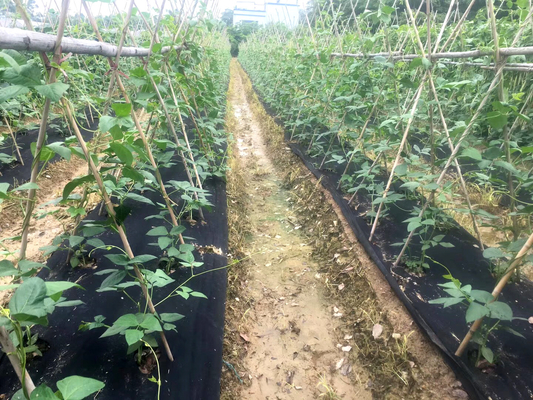 30gram 100% pp landbouw niet geweven dekking Spunbond in 20 meter onkruidbestrijding