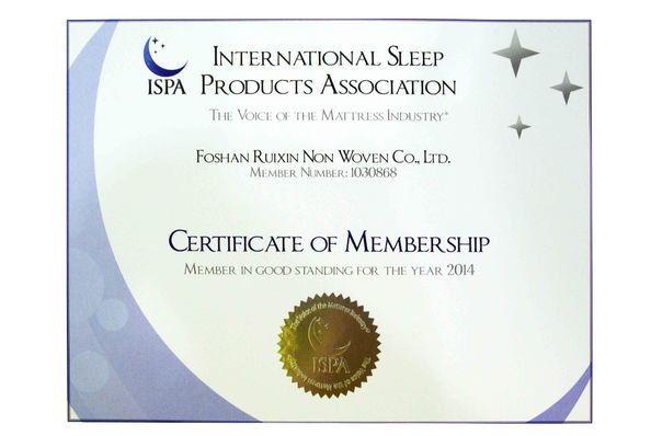China Foshan Rayson Non Woven Co.,Ltd certificaten