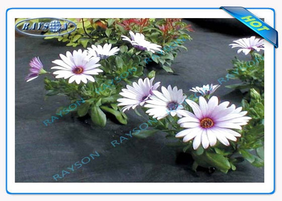 3% UVbescherming de Landbouw niet Geweven Dekking Spunbond van de 10 Jaarwaarborg in Zwarte Kleur