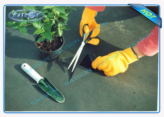 3% UVbescherming de Landbouw niet Geweven Dekking Spunbond van de 10 Jaarwaarborg in Zwarte Kleur