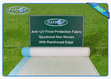 25.6m Brede Transparante anti-Uv onkruid-Controle Mat voor Landbouw, Witte Landschapsstof
