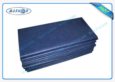 Kliniek/Hotelblad van het Hygiëne het Blauwe Beschikbare Bed Gemakkelijk Carry Paper Bedsheet