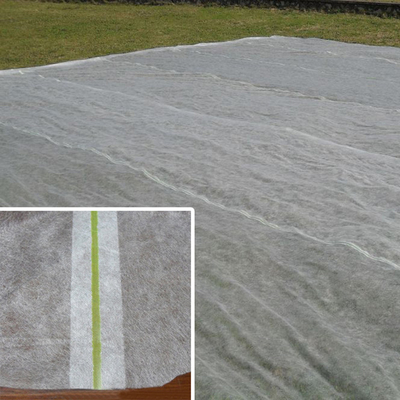 niet Geweven van 200gsm Spunbond Plantaardige de Vorstbescherming van het Stoffen Agroblad voor Openluchtinstallatiedekking